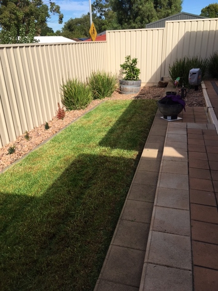 After - lawn mowing in Sheidow Park - What a difference?? With some regular lawn maintenance I can keep it looking at it&#39;s best.