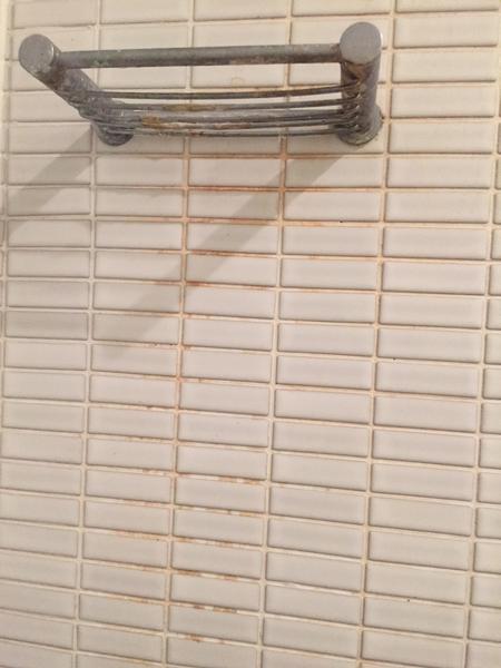 Shower & Tile clean before