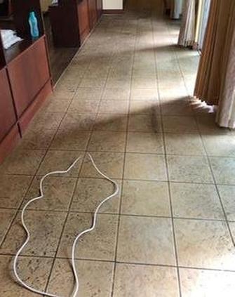 Before tile clean - Spring clean - Before