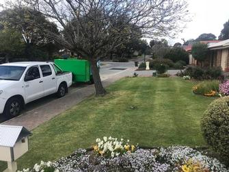 My car and trailer