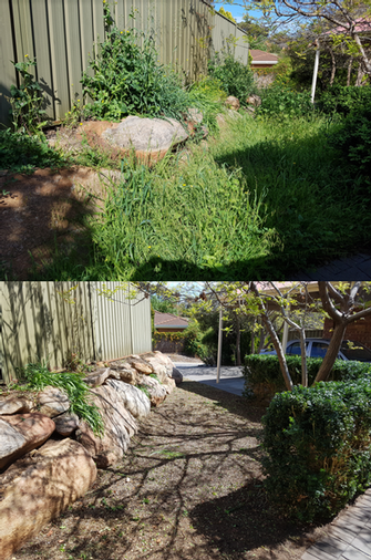 Garden clean up in Wynn Vale - before & after - The end result looks amazing. The customer was so pleased with the result.