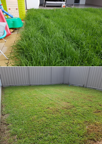 Lawn mowing in Henley Beach - before & after