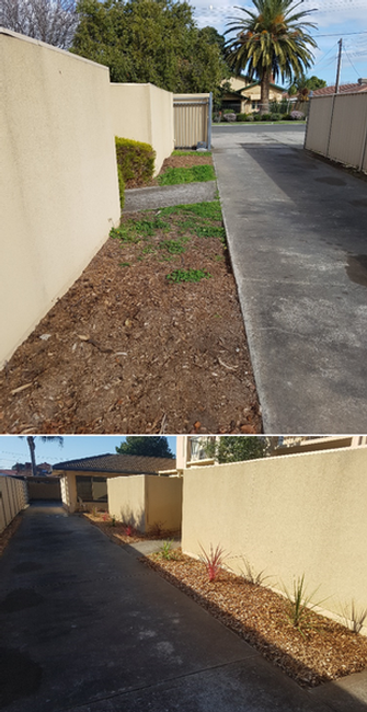 Garden Makeover in Wynn Vale - before & after