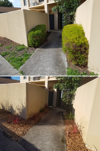 Garden Makeover in Wynn Vale - before & after