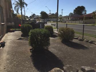 Hedge trimming in Fairy Meadow