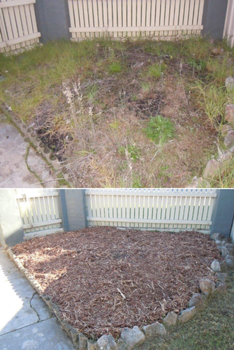 Garden bed tidy in Lavington - before & after