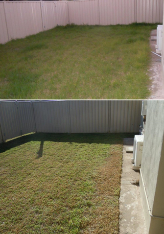 Lawn Mowing in Lavington - before & after