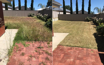 Lawn mowing - before & after