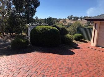 Hedge trimming