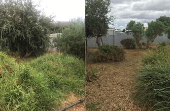 Garden tidy - before & after
