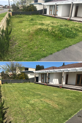 Lawn mowing - before & after - How much better does it look after a mow?!