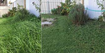 Lawn mowing - before & after