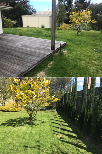 Lawn mowing - before & after