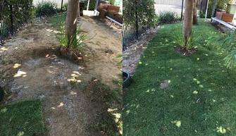 Lawn installation - during & after