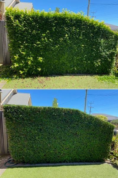 Hedging - before & after