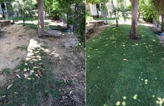 Lawn installation - before & after