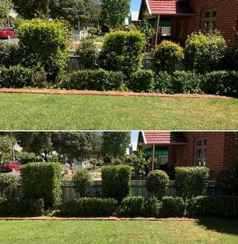 Hedging - before & after