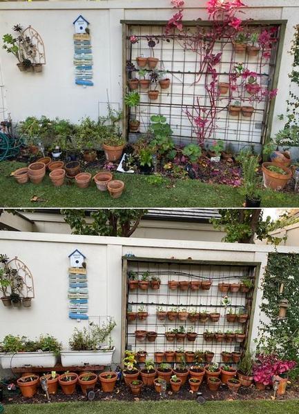 Vertical Garden Makeover - before & after