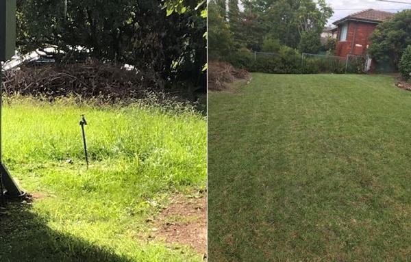 Lawn mowing - before & after - Would you like your lawn transformed like this one?!