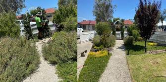 Garden tidy in South Bunbury - before & after - Once the tidy was done, the path was defined nicely. Makes a difference!