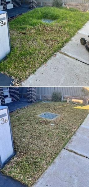Lawn mowing in Chirnside Park - before & after - This lawn was slightly overgrown but some regular mowing now will allow the lawn to green up.&nbsp;