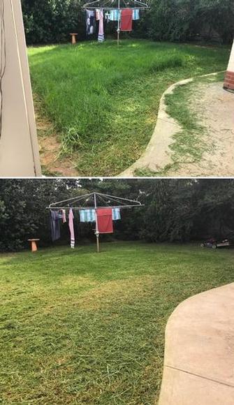 Lawn mowing - before & after - 2 months ago, my customer took over this lease. At that point there was no grass anywhere front or back, but after the recent rain, the grass went mad.&nbsp;

Both he and his landlord are impressed with the end results.&nbsp;