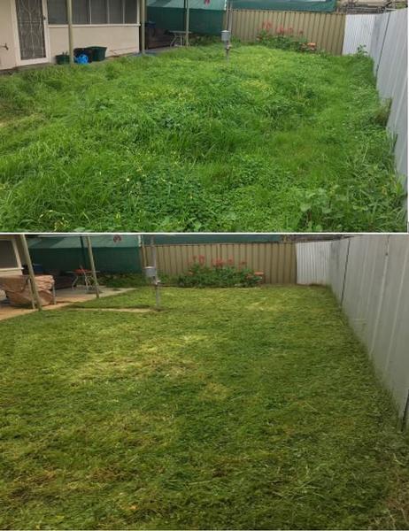 Overgrown lawn mowing - before & after