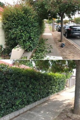 Hedging - before & after