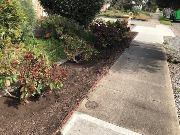 Small landscaping job - end result - Roses have just started to send out their new seasons growth.

Much tidier now.&nbsp;