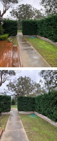 Hedging in Frankston South- before & after - Conifer hedge.