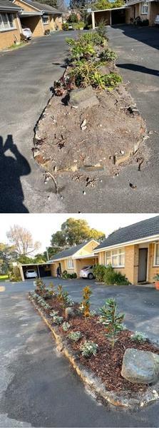 Garden Makeover in Frankston - before & after - Garden Makeover for a Body Corporate in Frankston.

Cleaned out the old plants and replaced with new mature plants to create a low maintenance garden for the tenants.&nbsp;