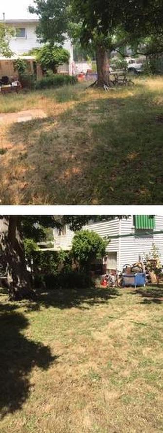 Lawn mowing in Mount Eliza - before & after - Much tidier!
