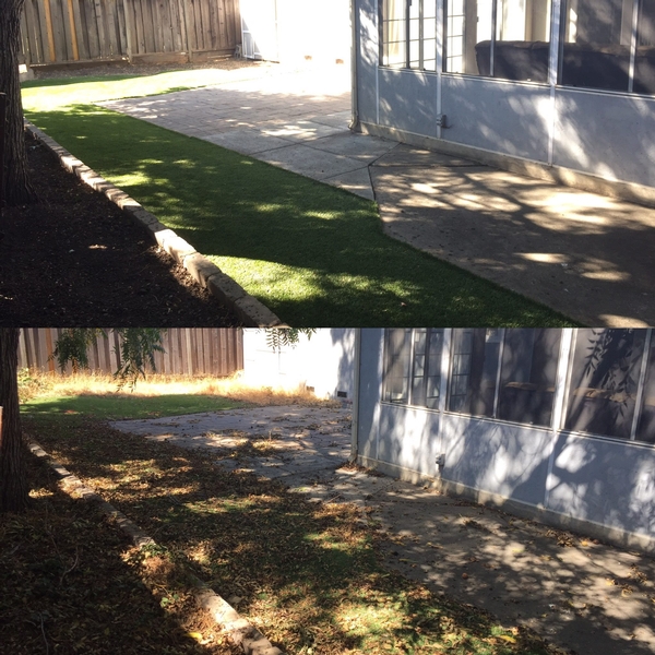 Yard clean up - before & after