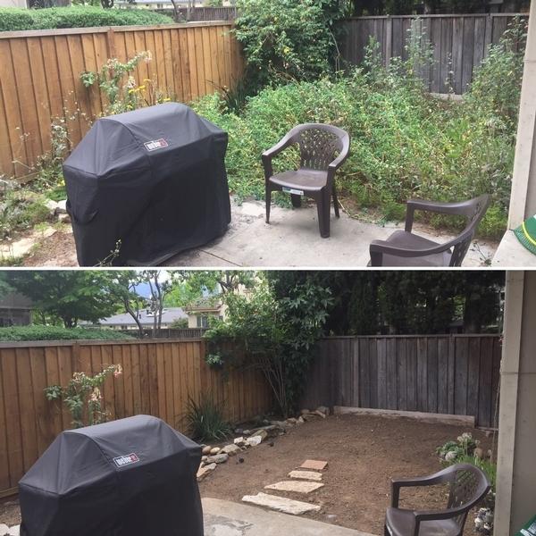 Yard clean up - before & after