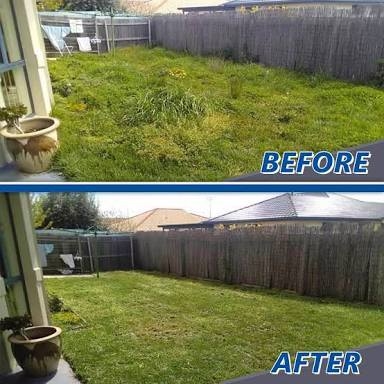 Lawn mowing - before & after