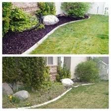 Back yard clean - before & after