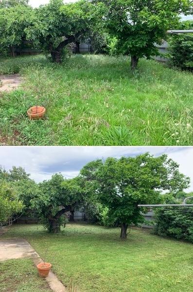 Lawn Mowing - before & after - What a good end result!
