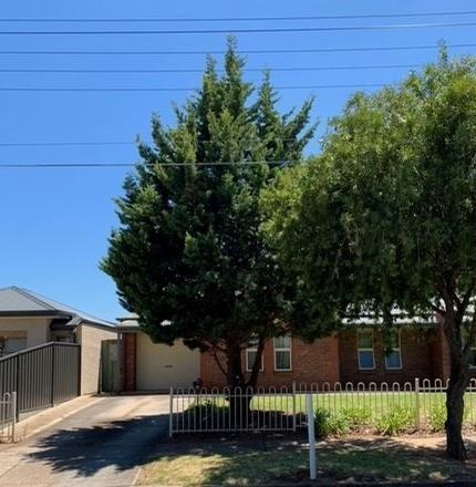 Tree trimming - after - The client requested to have the&nbsp;trees pruned from the ground up to allow better visuals for vehicle drivers entering and exiting the premises. They are extremely pleased with the outcome.