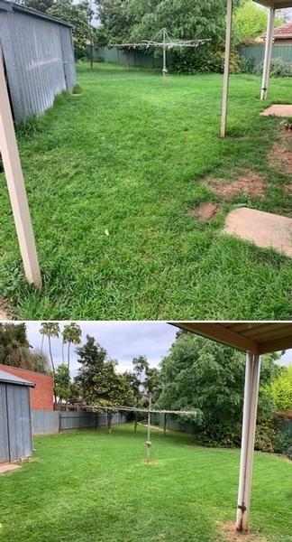 Lawn Mowing - before & after