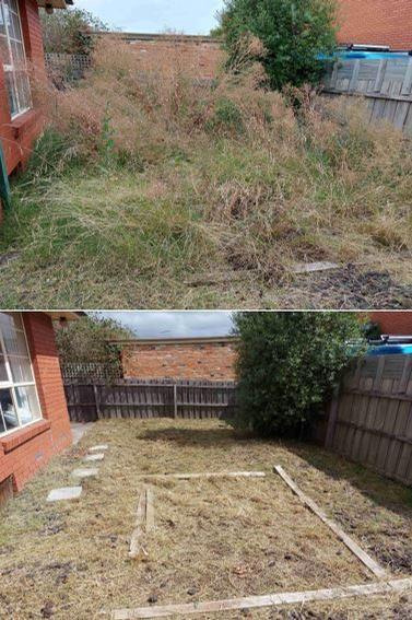 Overgrown lawn mowing - before & after - What a difference!