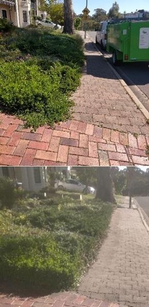 Garden tidy - before & after