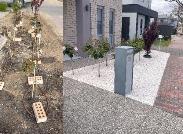 Garden tidy - before & after - Laying irrigation and small pebbles. What a transformation!