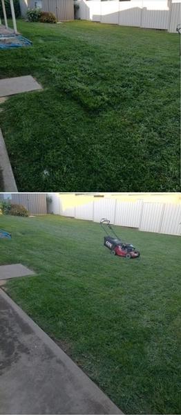 Lawn mowing Ingle Farm - before & after