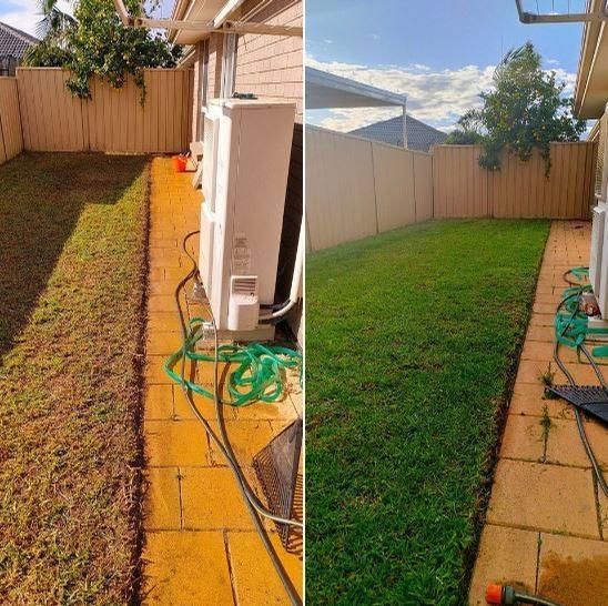 Lawn rejuvenation - Around a month ago I first went to this yard and tidied up the lawn edge that had grown over on to the pavers and gave the lawn area a soil improver treatment. Went back today to give it a cut and was very happy to see it starting to come along so well.