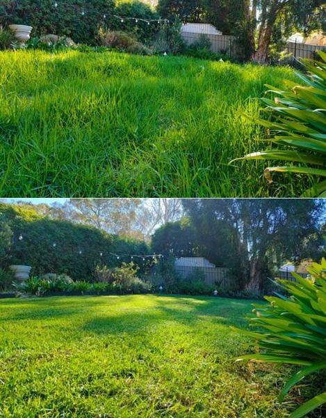 Lawn mowing in Happy Valley - before & after