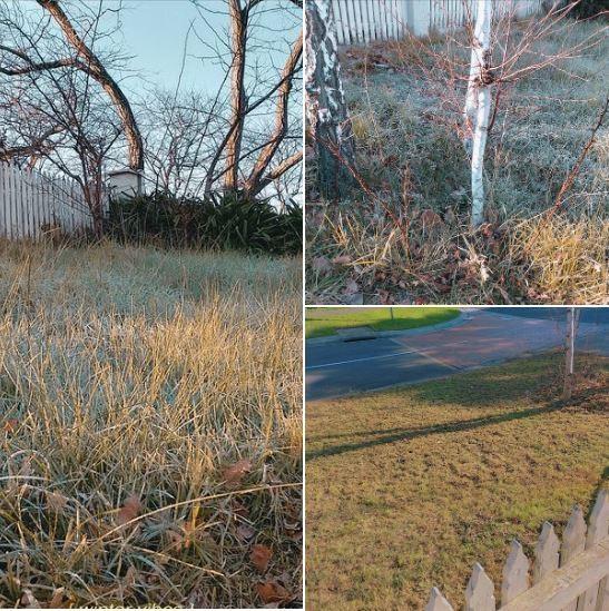 Lawn Mowing in Beaconsfield - before & after