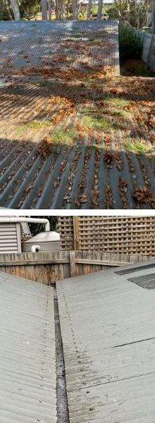 Gutter Cleaning - before & after