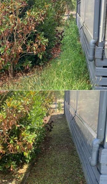 Benalla Yard tidy 1 - before & after