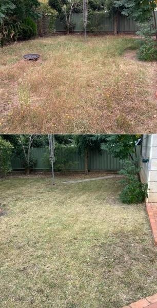 Lawn mowing - before & after