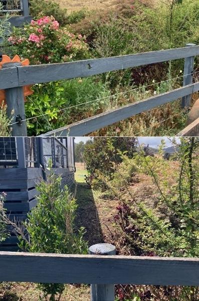 Benalla Yard tidy 3 - before & after - Todays efforts, a large overgrown property.

The customers were looking for help to get the property back to its old self as it held huge emotional meaning to them.

And after a hard days work they were thrilled with the outcome!